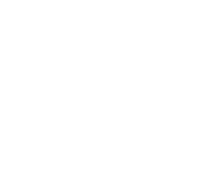 White house graphic