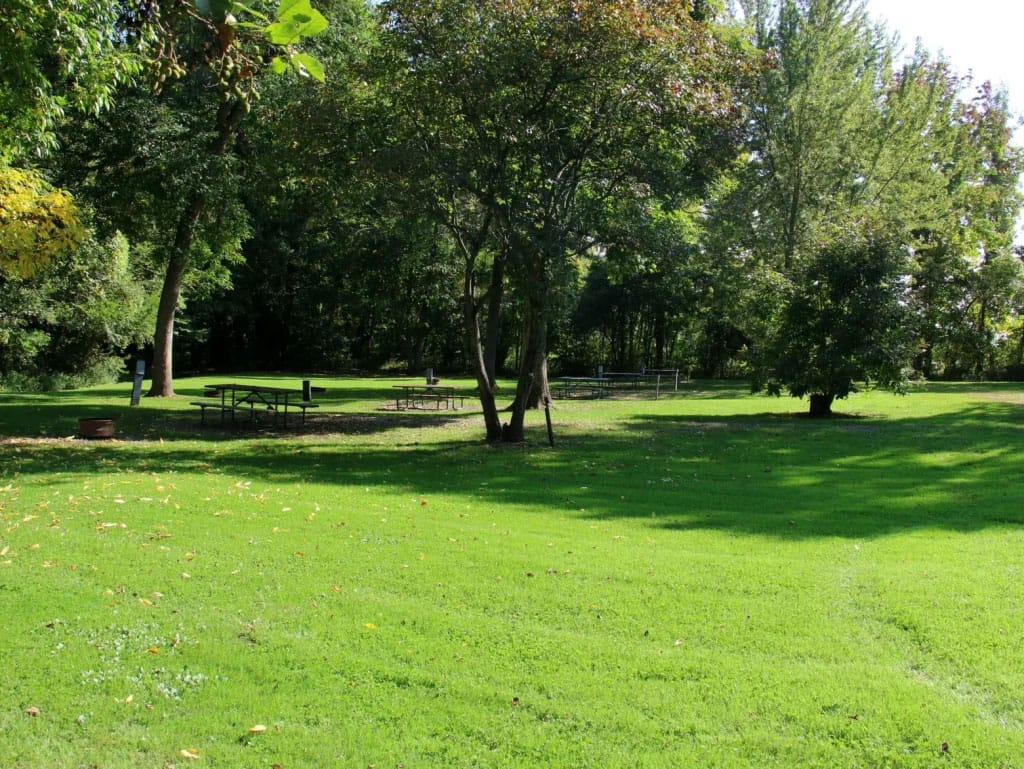 Green park with trees